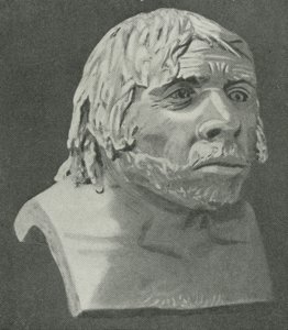 O Homem Neandertal de La Chapelle-aux-Saints de English School