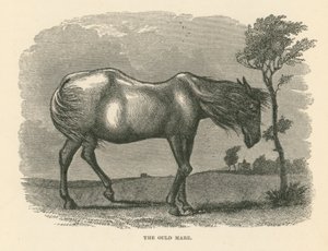 A Égua Ould (gravura) de English School