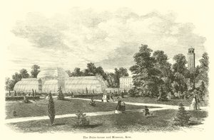 A casa de palmeiras e o museu, Kew de English School