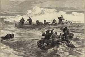 A expedição do Pandora Arctic