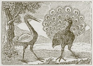 O Pavão e o Grou (gravura) de English School