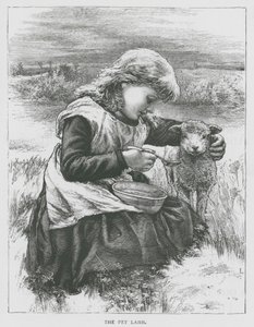 O cordeiro de estimação (gravura) de English School