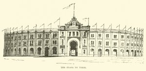 A Plaza de Toros de English School