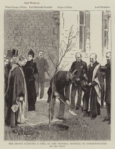 O Príncipe plantando uma árvore no Hospital Victoria em Comemoração à sua Visita (gravura) de English School