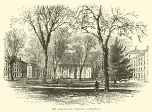 O Quadrilátero, Universidade de Harvard de English School