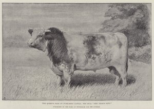A Venda pela Rainha do Gado de Puro Sangue, o Touro "Presente de Ano Novo", comprado pelo Conde de Feversham por 1000 Guineas (litho) de English School