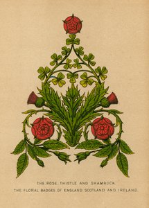 A rosa, cardo e trevo. Os emblemas florais da Inglaterra, Escócia e Irlanda de English School