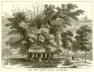 As sete irmãs em 1830 de English School