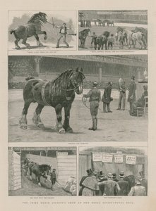 O Shire Horse Societys show no Royal Agricultural Hall de English School