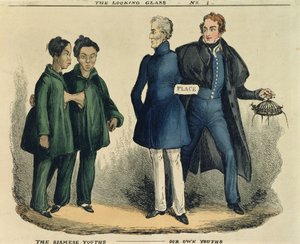 Os jovens siameses - nossos próprios jovens, desenhos animados satíricos do espelho, c.1829 (gravura colorida) de English School