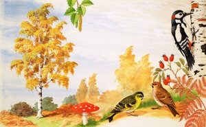 A árvore de vidoeiro de prata e animais e plantas que você pode encontrar em torno dele