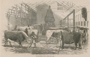 O Smithfield Club Cattle Show Yard de English School