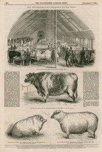O Smithfield Club Christmas Cattle Show