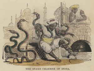 The Snake Charmer of India (gravura colorida) de English School