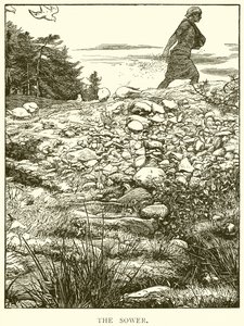 O semeador de English School