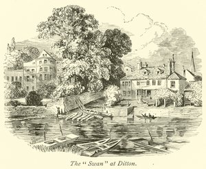 O cisne em Ditton de English School