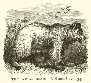 The Syrian Bear, I, Samuel, xvii, 34 (gravura) de English School