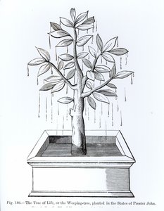 A Árvore da Vida, ou a Árvore do Choro, plantada nos Estados do Preste João, ilustração da Ciência e Literatura da Idade Média e do Renascimento, escrita e gravada por Paul Lacroix, 187 de English School