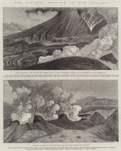 A Erupção Vulcânica na Nova Zelândia (gravura) de English School
