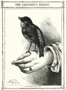 O Robin de Woodhall Spa (gravura) de English School