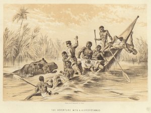 A aventura com um hipopótamo de English School