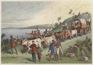 A chegada ao lago Ngami