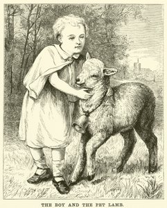 O menino e o cordeiro de estimação (gravura) de English School