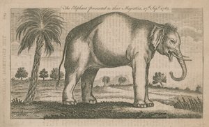 O elefante apresentado a suas majestades de English School