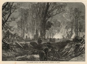 A floresta em chamas e as sepulturas abertas em Paris
