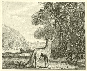 A raposa e as uvas (gravura) de English School