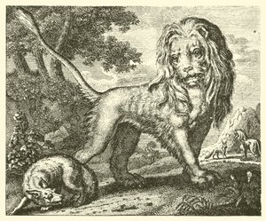 A raposa e o leão (gravura) de English School