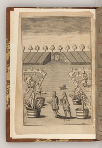 O frontispício de The City Gardener de Thomas Fairchild de English School