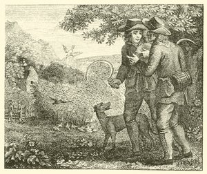 A cotovia e os seus filhotes (gravura) de English School