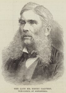 O falecido Sr. Henry Calvert, vice-cônsul em Alexandria (gravura) de English School