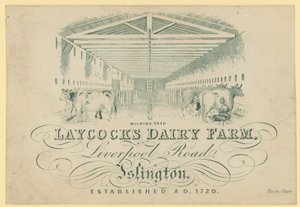O barracão de ordenha, Laycocks Dairy Farm, Liverpool Road, Islington de English School