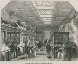 O novo Coral Room no British Museum de English School