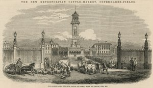 O novo mercado de gado metropolitano, campos de Copenhague