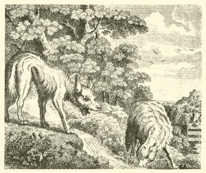 O lobo e o cordeiro (gravura) de English School