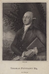 Thomas Pennant, naturalista e topógrafo galês (gravura) de English School