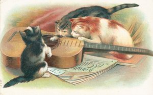 Três gatos brincando com um violão de English School