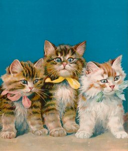 Três pequenos kits