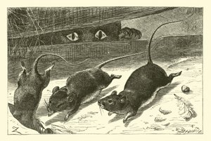Três ratinhos de English School