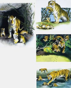 Tigre e filhotes de English School