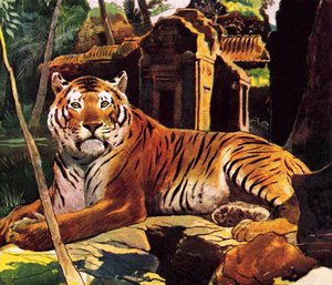 Tigre nas ruínas