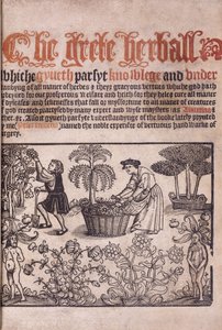 Página de título ilustrando uma cena de jardim com figuras, 1529 de English School