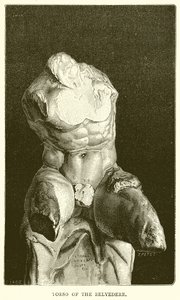Torso do Belvedere de English School
