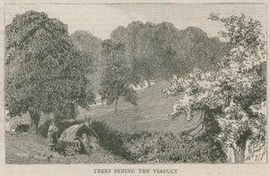 Árvores atrás do viaduto de English School