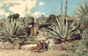 Tresco Abbey Garden, Scilly Isles, Cornwall (cor litho) de English School