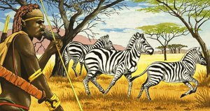 Tribo e zebras
