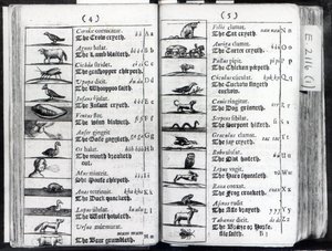 Duas páginas Mundial Sensualium Pictus Comenius, 1659 de English School
